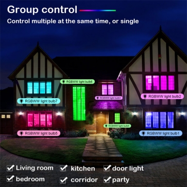 LED室内灯 - HCP021 LED蓝牙灯泡灯 LED室内灯 - HCP021 LED蓝牙灯泡灯