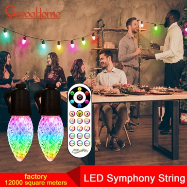 LED户外灯 - LED幻影灯串 LED户外灯 - LED幻影灯串