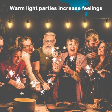 LED户外灯 - 单色灯串 LED户外灯 - 单色灯串