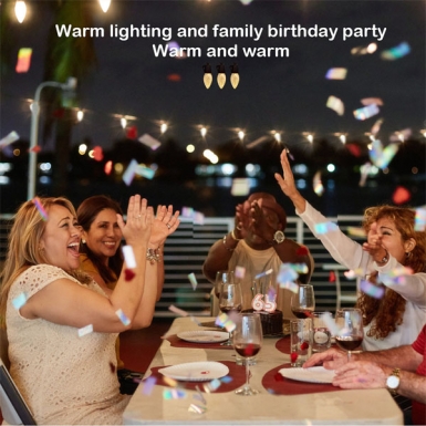 LED户外灯 - 单色灯串 LED户外灯 - 单色灯串