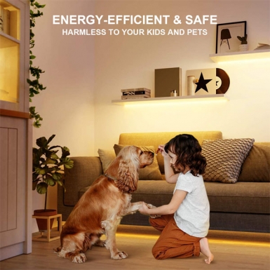 LED灯条 - 2835 双色灯条